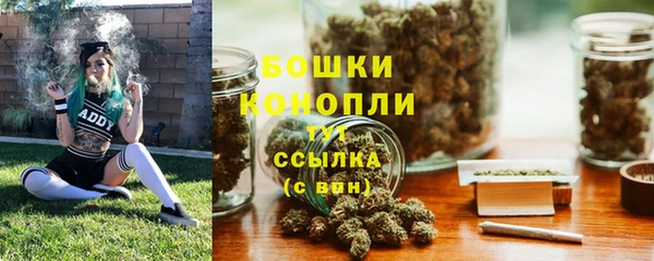 бошки Арсеньев