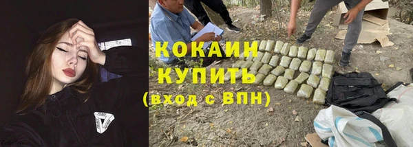 бошки Арсеньев