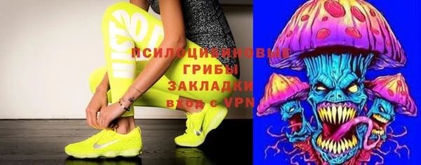 PSILOCYBIN Аркадак