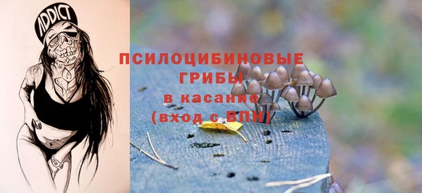 PSILOCYBIN Аркадак