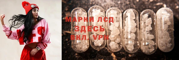 PSILOCYBIN Аркадак