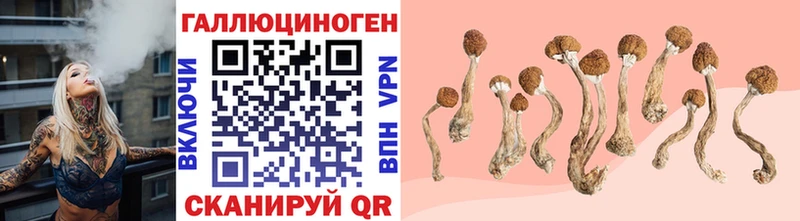 Псилоцибиновые грибы Magic Shrooms  магазин    shop какой сайт  Каспийск 
