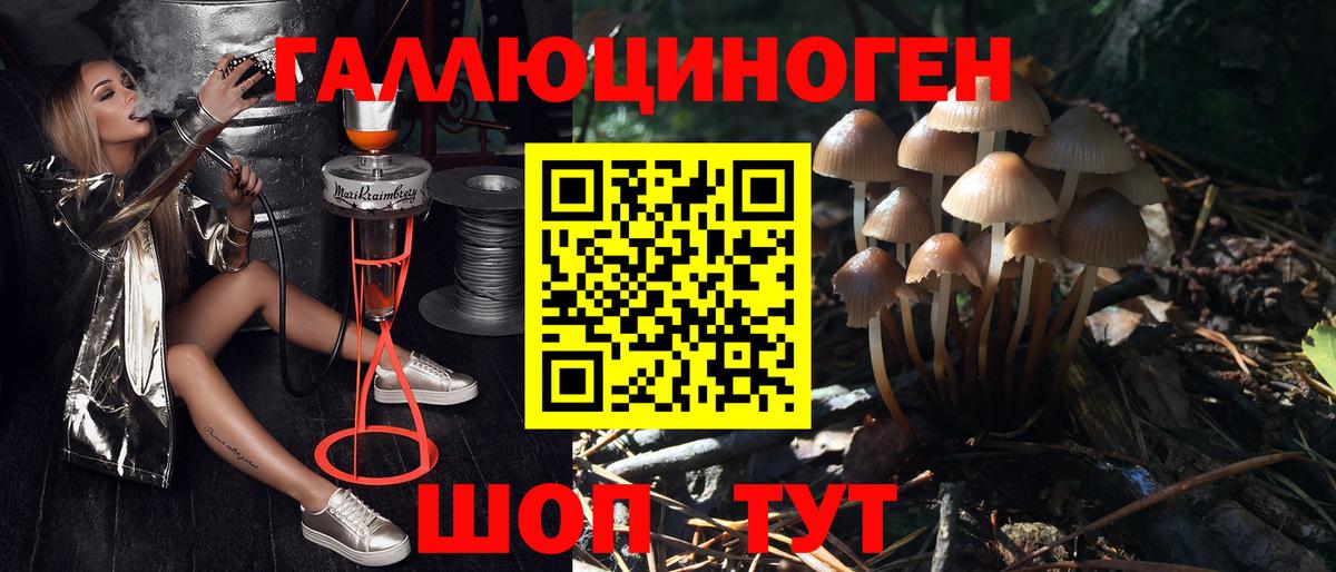 Псилоцибиновые грибы Cubensis  Вход с VPN  Псилоцибиновые грибы MAGIC MUSHROOMS  Каспийск 