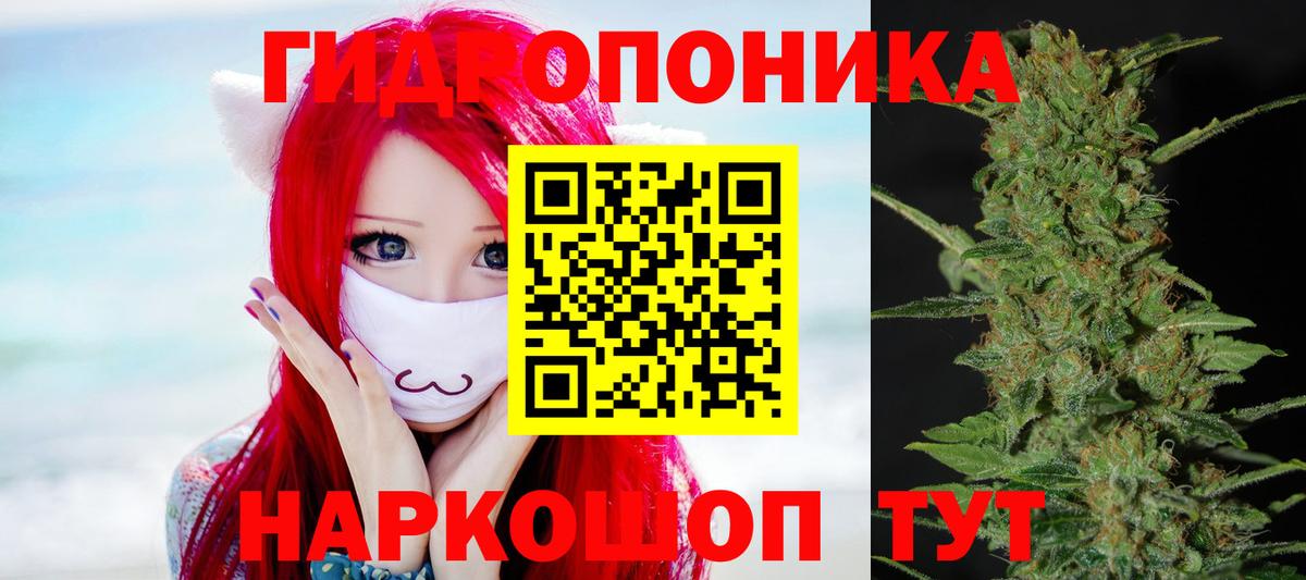 Канабис гибрид Каспийск